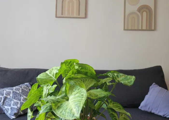 Near Bathrooms Park Апартаменты