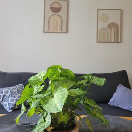 Near Bathrooms Park Apartamento